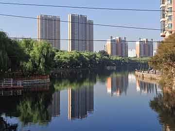 新澳門六和彩資料查詢2024年免費(fèi)查詢01-365期圖片,精準(zhǔn)分析實(shí)施步驟_YE版65.64