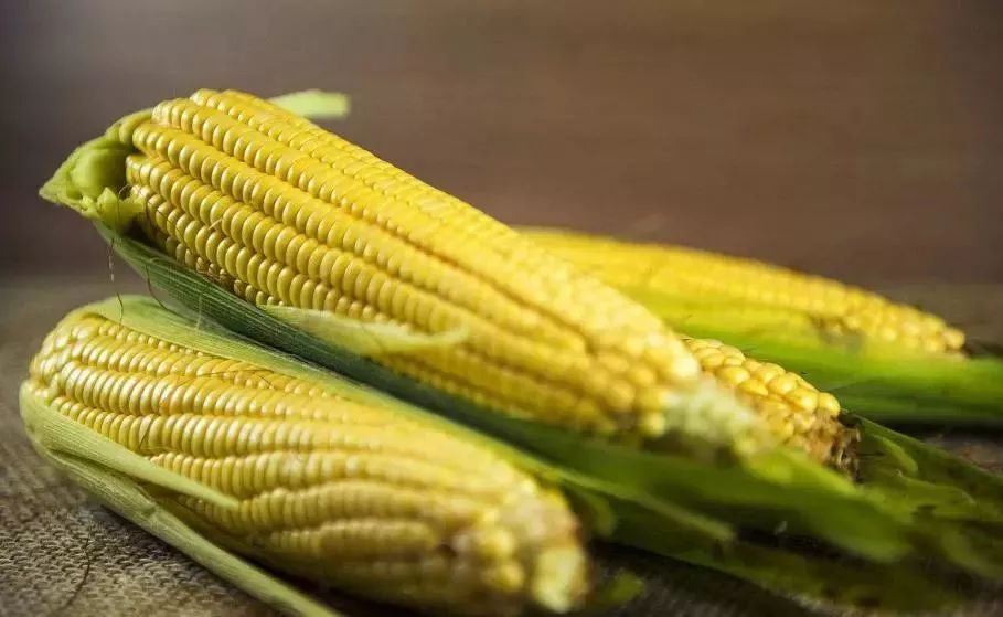玉米行情最新報價，市場走勢分析與預(yù)測，玉米行情最新報價及市場走勢分析與預(yù)測