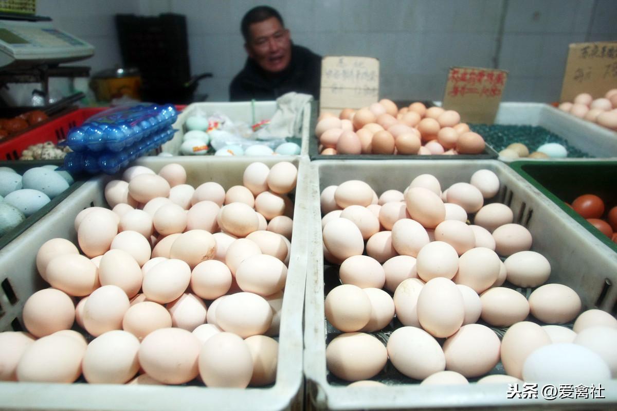 今日山東雞蛋最新行情分析，山東雞蛋今日行情分析報(bào)告