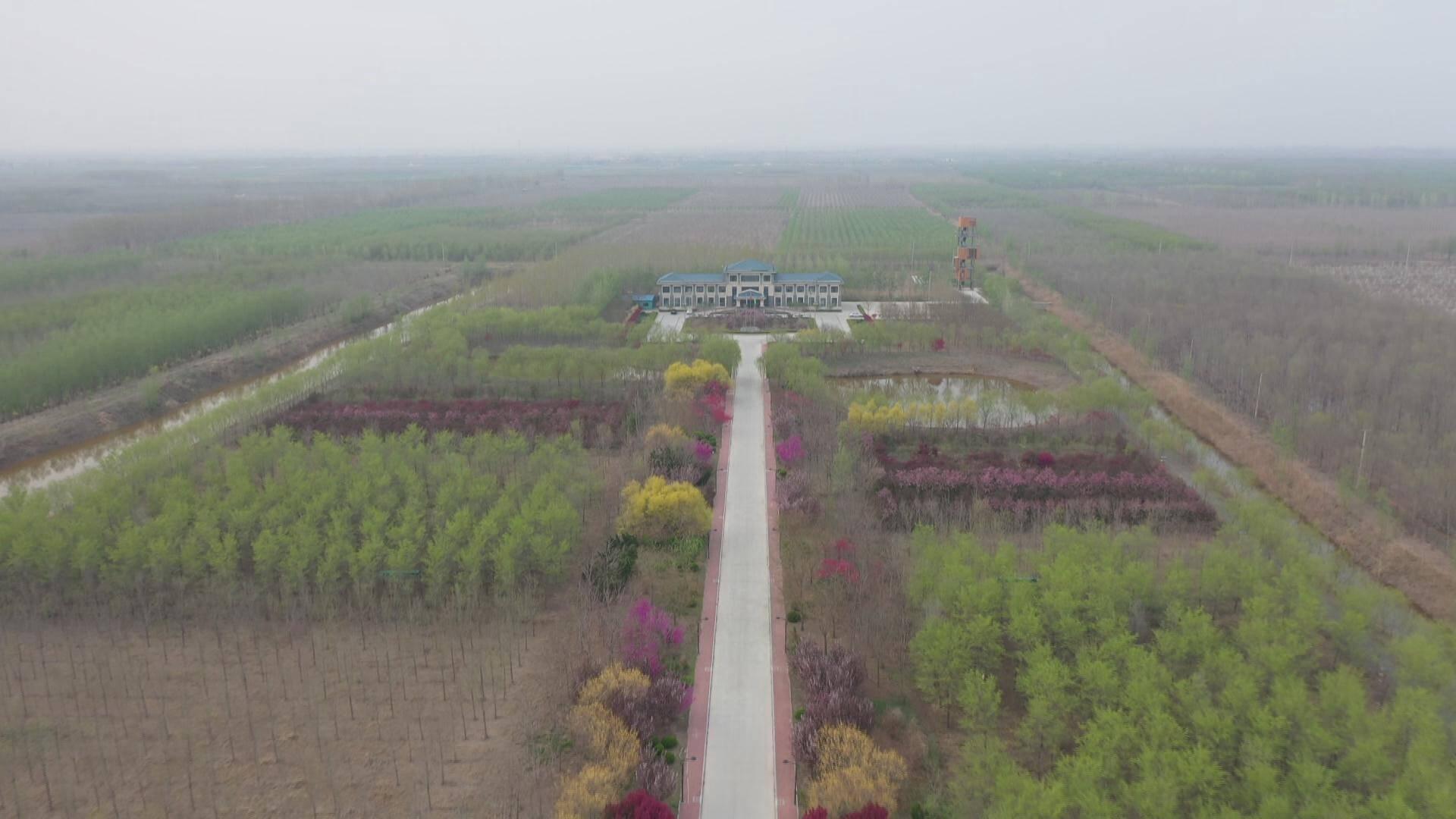 沙區(qū)最新新聞報(bào)道，城市發(fā)展的脈搏與民生改善的腳步，沙區(qū)最新新聞報(bào)道，城市發(fā)展與民生改善同步前行