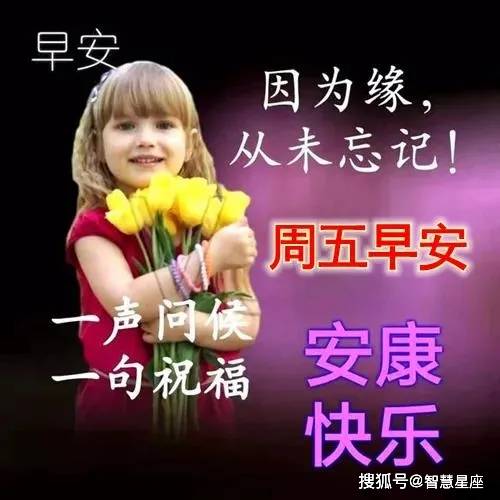最新周五晨語，開啟全新一周的積極力量，周五晨語，激發(fā)全新一周的積極能量