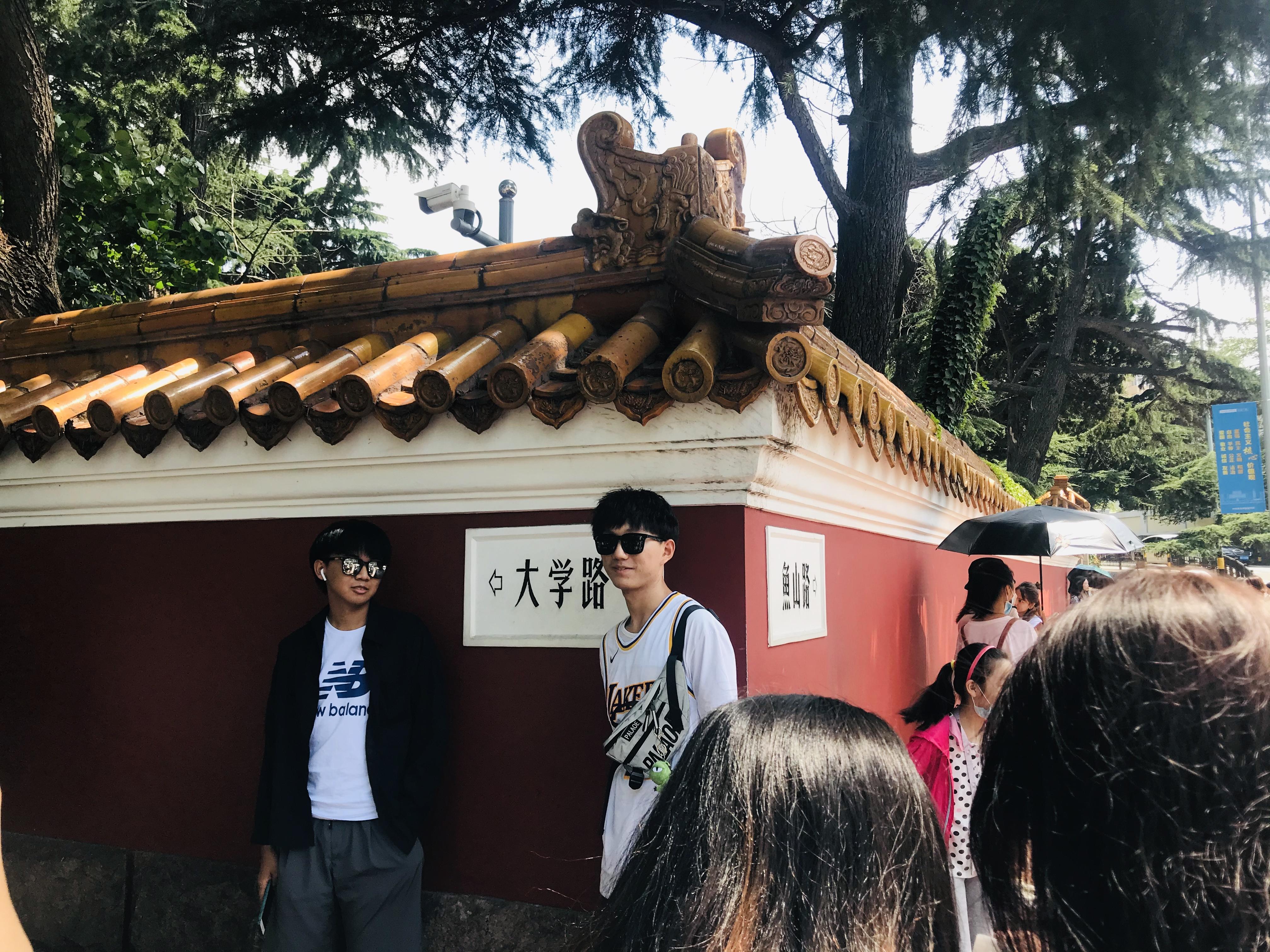 青島大學(xué)最新報(bào)道，蓬勃發(fā)展中的學(xué)術(shù)明珠，青島大學(xué)，學(xué)術(shù)明珠的蓬勃發(fā)展之路