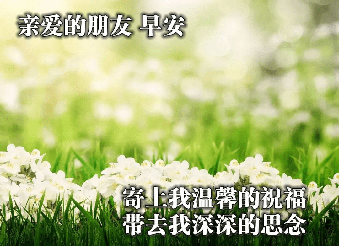 早安最新勵志正能量，開啟美好一天！，早安勵志正能量，開啟美好一天的序曲！