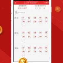 2024新澳門正版免費資料生肖卡,決策資料解釋落實_游戲版256.183