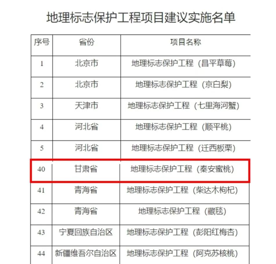 奧門開獎結(jié)果+開獎記錄2024年資料網(wǎng)站,經(jīng)濟性執(zhí)行方案剖析_游戲版256.183