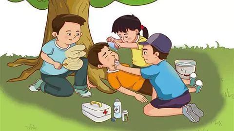 最新傳染期，理解、預(yù)防與應(yīng)對策略，最新傳染病傳染期，理解、預(yù)防與應(yīng)對策略