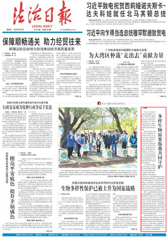 新澳門中特期期精準,廣泛的關注解釋落實熱議_特別版96.705