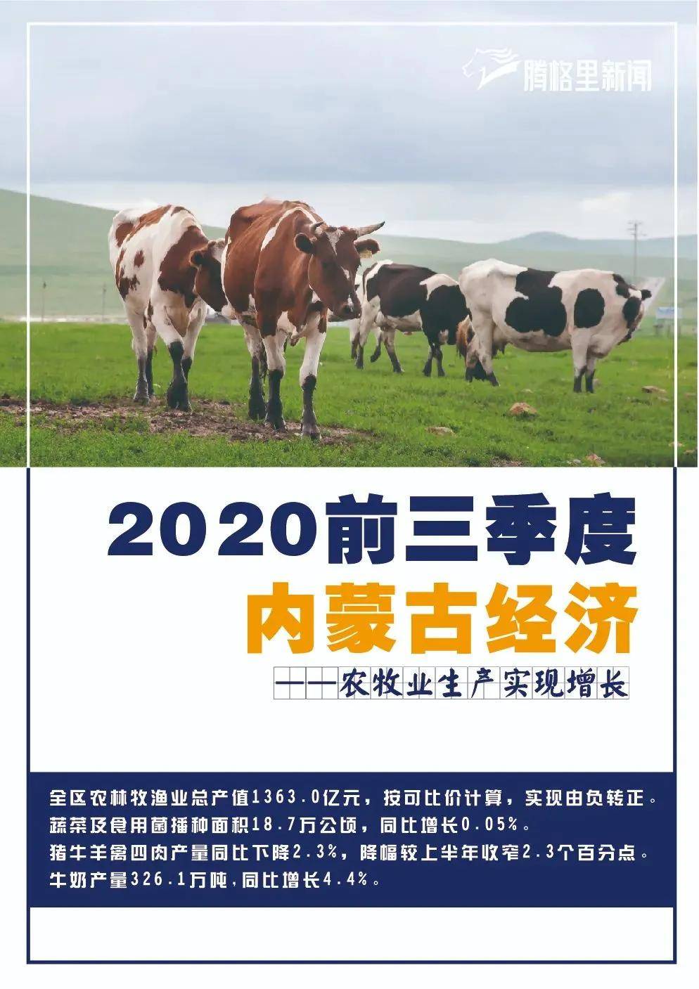 2024今晚開的四不像生肖圖,全面理解執(zhí)行計劃_Gold20.424