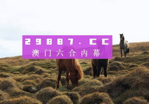 老澳門開獎結果+開獎記錄20,深度解答解釋定義_S44.168