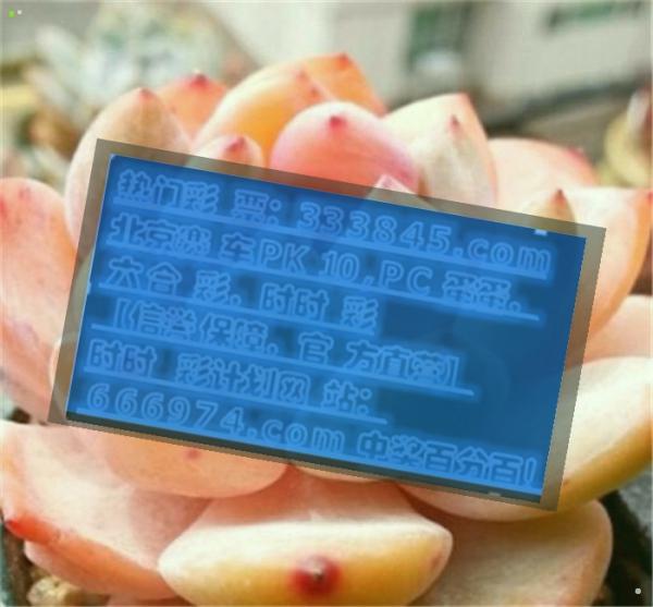 管家婆最準(zhǔn)一碼一肖,最新熱門解答落實_Hybrid93.362