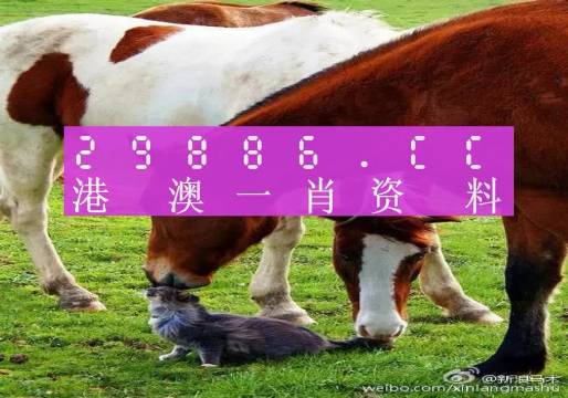 奧門一肖一碼100準(zhǔn)免費(fèi)姿料,靈活性方案解析_限量款82.630