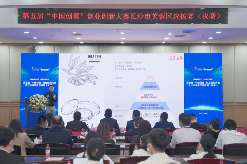 芙蓉區(qū)人民政府辦公室最新發(fā)展規(guī)劃解析，芙蓉區(qū)人民政府辦公室最新發(fā)展規(guī)劃深度解讀