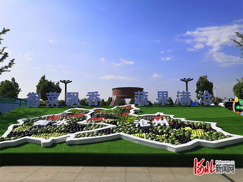 微山縣農(nóng)業(yè)農(nóng)村局最新發(fā)展規(guī)劃，塑造鄉(xiāng)村新面貌，推動農(nóng)業(yè)現(xiàn)代化，微山縣農(nóng)業(yè)農(nóng)村局最新發(fā)展規(guī)劃，推動農(nóng)業(yè)現(xiàn)代化，塑造鄉(xiāng)村新面貌