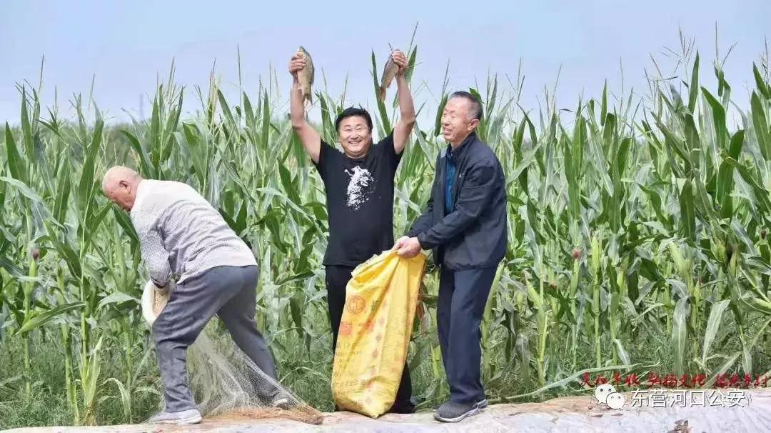 義和鎮(zhèn)最新領導團隊，引領未來，共筑輝煌，義和鎮(zhèn)領導團隊引領未來，共筑輝煌新篇章