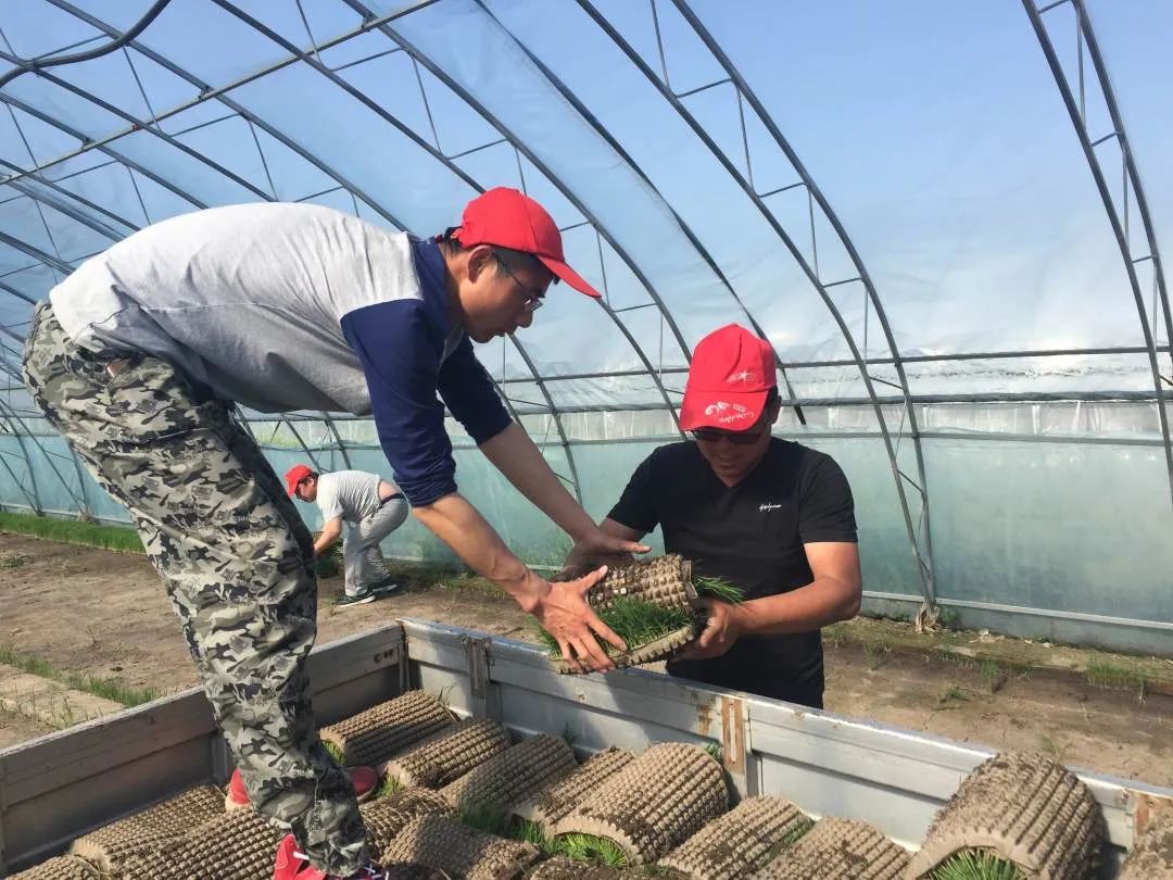 濃江農(nóng)場最新招聘信息全面解析，濃江農(nóng)場最新招聘信息詳解