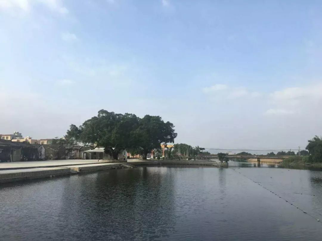 登崗鎮(zhèn)最新天氣預(yù)報(bào)，登崗鎮(zhèn)天氣預(yù)報(bào)更新通知