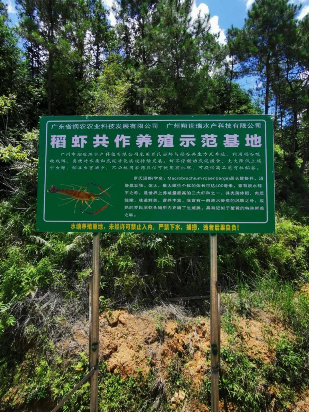 梅林鎮(zhèn)最新招聘信息全面更新，求職者的福音來了！，梅林鎮(zhèn)最新招聘信息更新，求職者福音來臨！