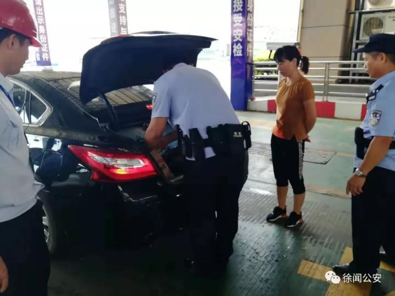 徐聞縣農(nóng)業(yè)農(nóng)村局最新項目，推動農(nóng)業(yè)現(xiàn)代化，助力鄉(xiāng)村振興，徐聞縣農(nóng)業(yè)農(nóng)村局新項目推動農(nóng)業(yè)現(xiàn)代化助力鄉(xiāng)村振興