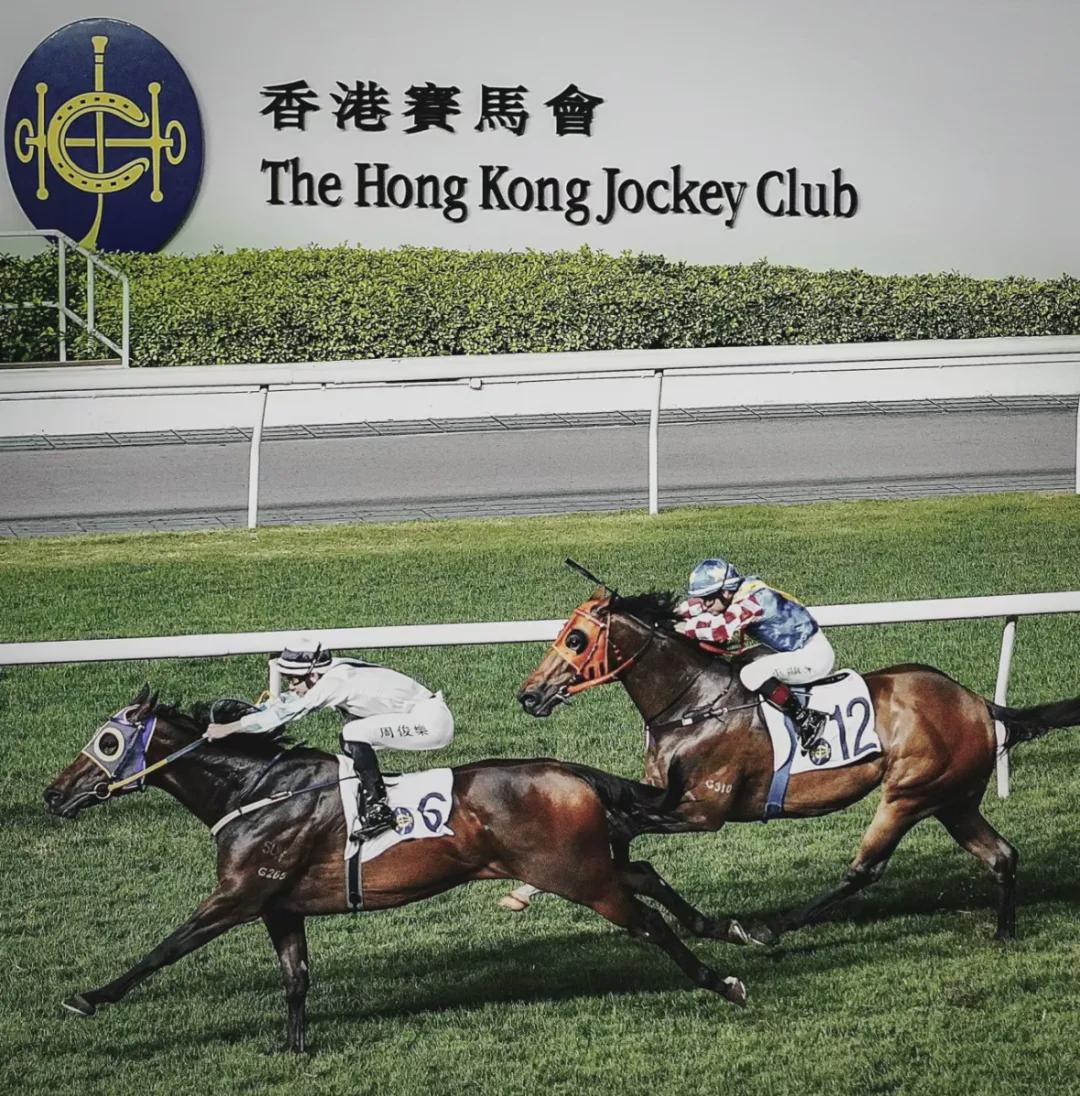 馬會香港7777788888,高速響應(yīng)解決方案_視頻版74.862