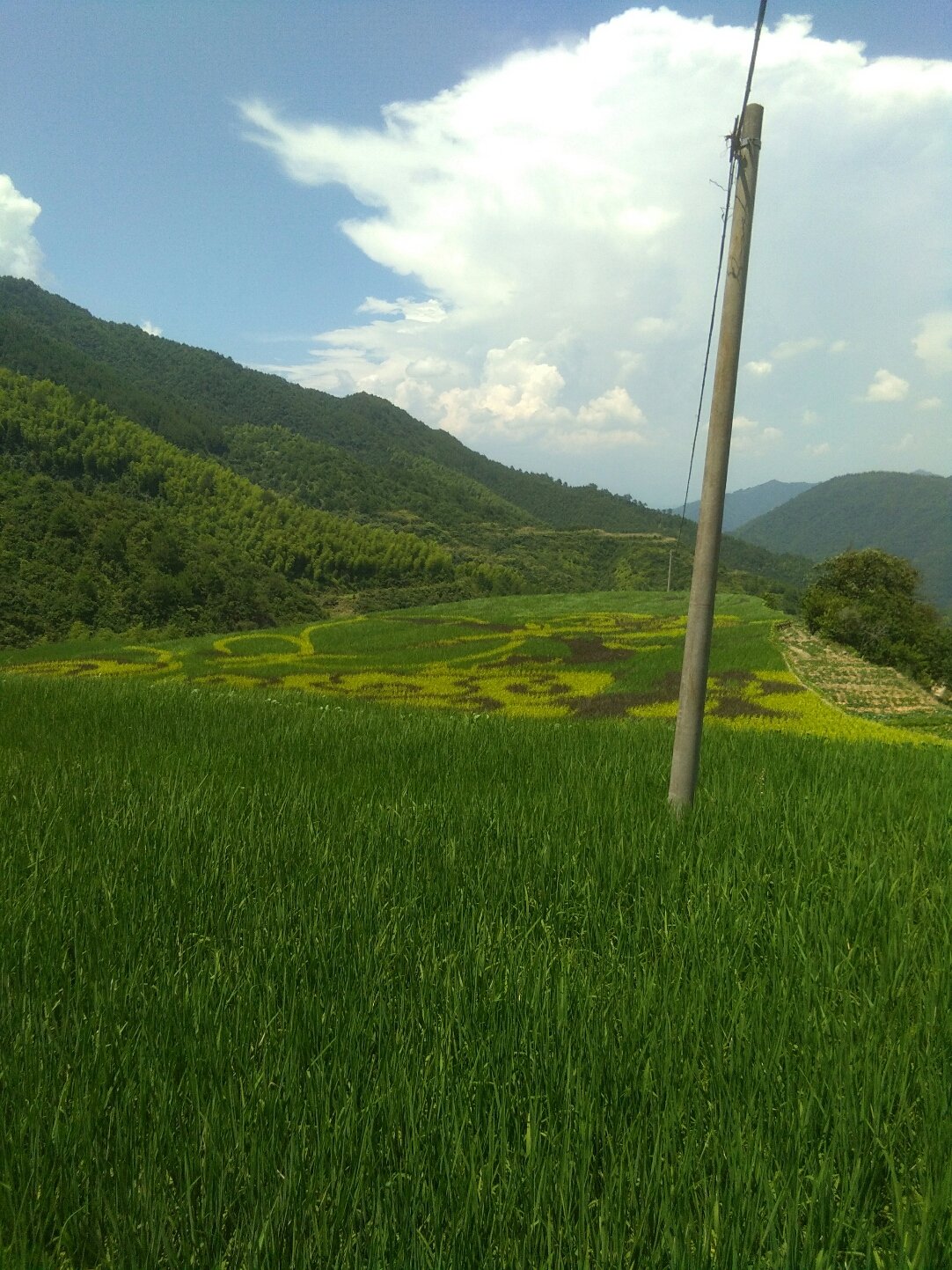 澳門 第10頁(yè)