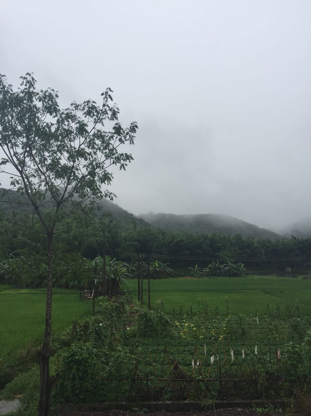 古壩村委會最新天氣預(yù)報及更多相關(guān)信息，古壩村委會天氣預(yù)報及相關(guān)信息匯總