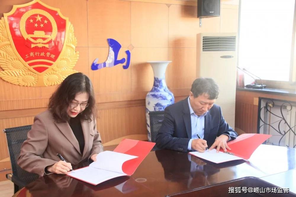 桃山區(qū)數(shù)據(jù)和政務服務局最新人事任命及其影響與展望，桃山區(qū)數(shù)據(jù)和政務服務局人事任命展望，新領導團隊引領未來發(fā)展