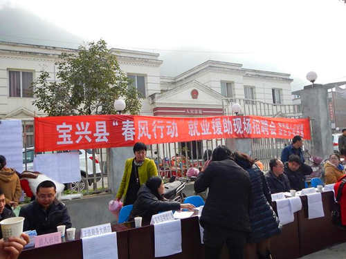 寶興鎮(zhèn)最新招聘信息全面解析，寶興鎮(zhèn)最新招聘信息詳解