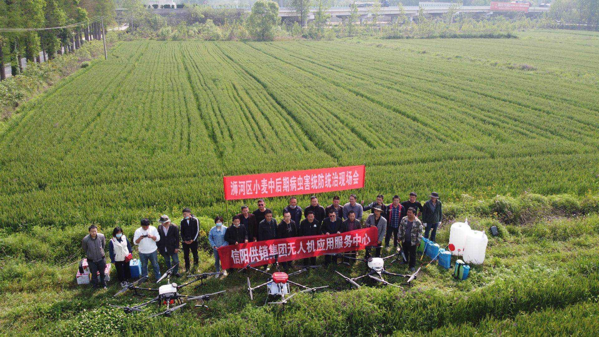 浉河區(qū)自然資源和規(guī)劃局最新領導團隊介紹，浉河區(qū)自然資源和規(guī)劃局領導團隊全新亮相