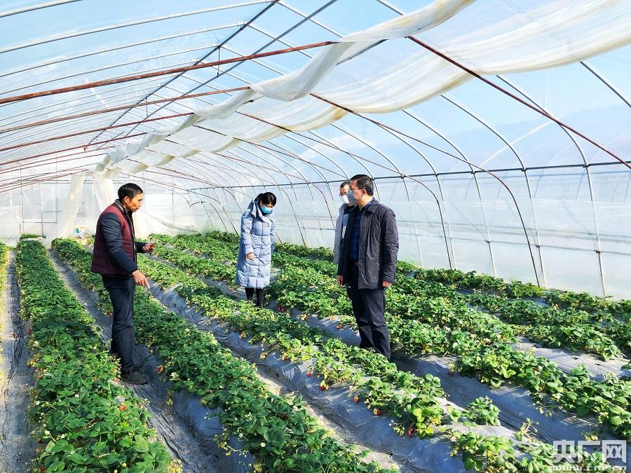 余姚市發(fā)展和改革局最新新聞，余姚市發(fā)展和改革局最新動(dòng)態(tài)報(bào)道