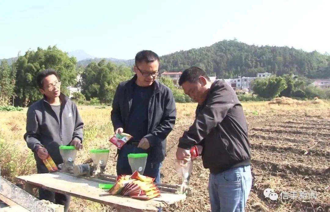 油榨鎮(zhèn)最新項(xiàng)目，引領(lǐng)地區(qū)發(fā)展的前沿力量，油榨鎮(zhèn)引領(lǐng)地區(qū)發(fā)展前沿力量的最新項(xiàng)目啟動(dòng)