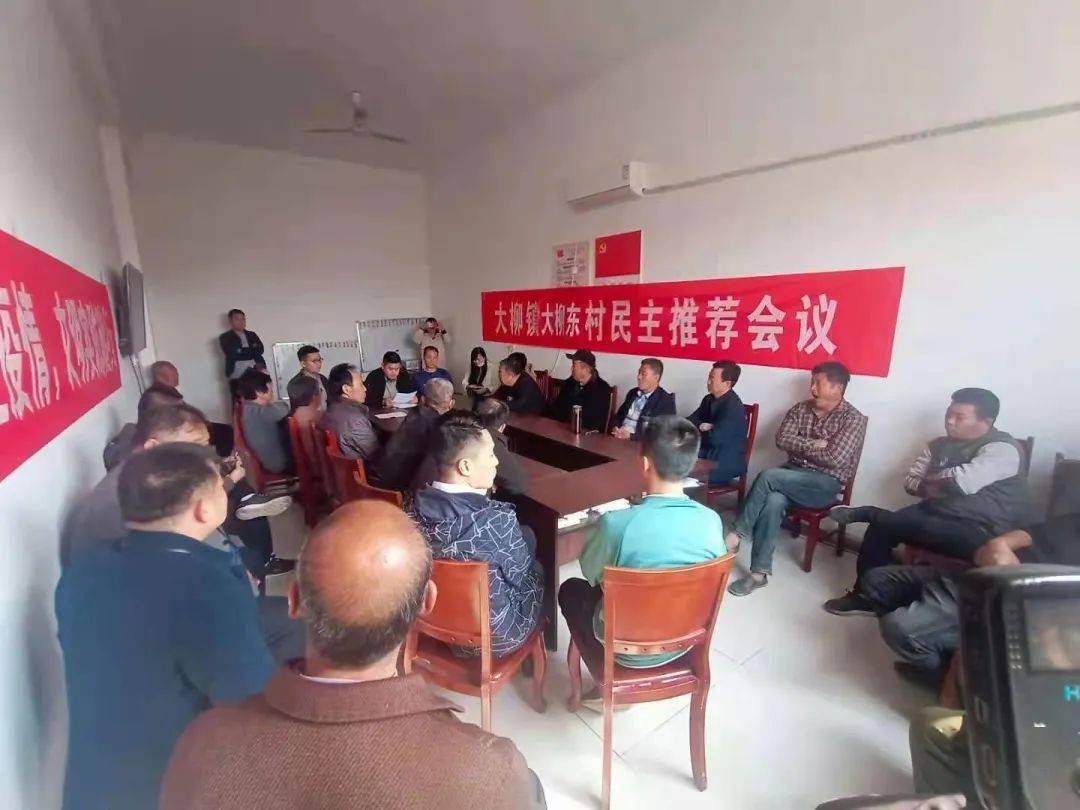 大柳村委會最新新聞，社區(qū)動態(tài)與發(fā)展展望，大柳村委會最新動態(tài)，社區(qū)發(fā)展展望與實時新聞
