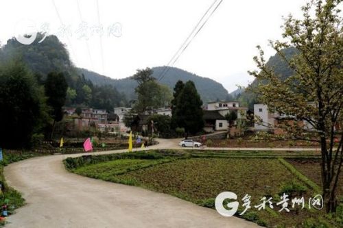 哈寨子村委會(huì)最新發(fā)展規(guī)劃，邁向繁榮與和諧的未來(lái)，哈寨子村委會(huì)發(fā)展規(guī)劃，邁向繁榮與和諧未來(lái)之路