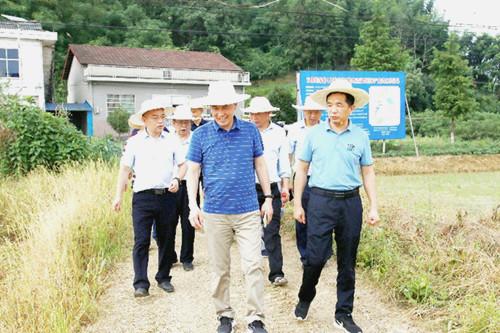 臨湘市統(tǒng)計局最新發(fā)展規(guī)劃SEO文章，臨湘市統(tǒng)計局最新發(fā)展規(guī)劃概覽