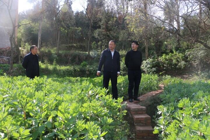 下壩村委會(huì)最新招聘信息全面更新，職位多樣，機(jī)會(huì)無(wú)限，下壩村委會(huì)最新招聘信息發(fā)布，多樣職位，無(wú)限機(jī)會(huì)