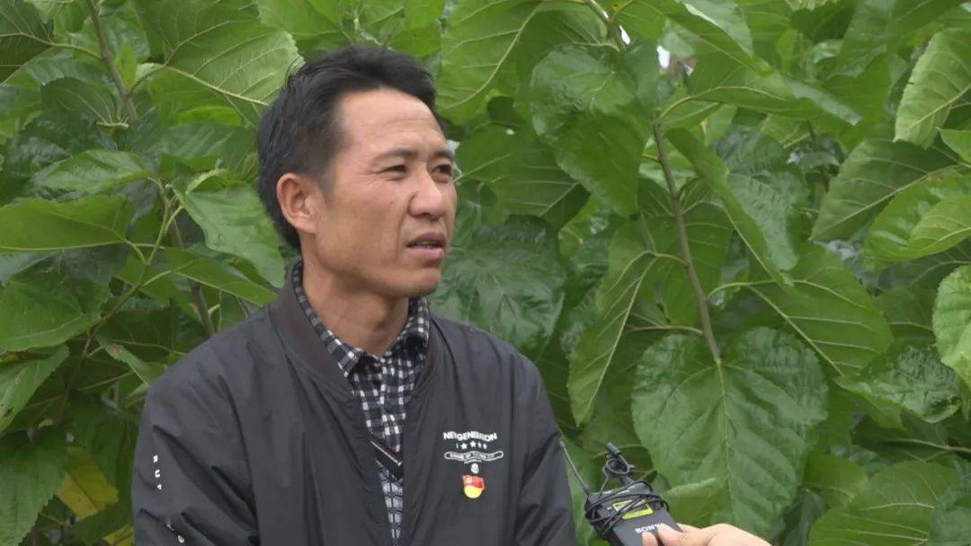 長川村民委員會最新新聞，長川村民委員會最新動態(tài)報道