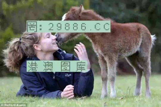 澳門平特一肖100準嗎,最佳精選解釋落實_Executive74.643